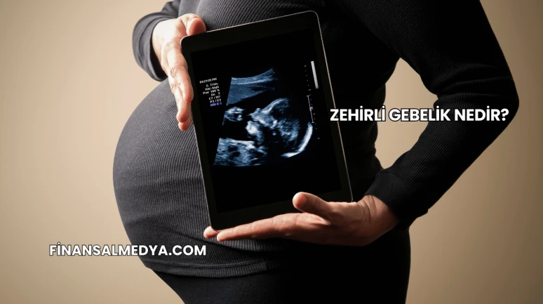Zehirli Gebelik Nedir?