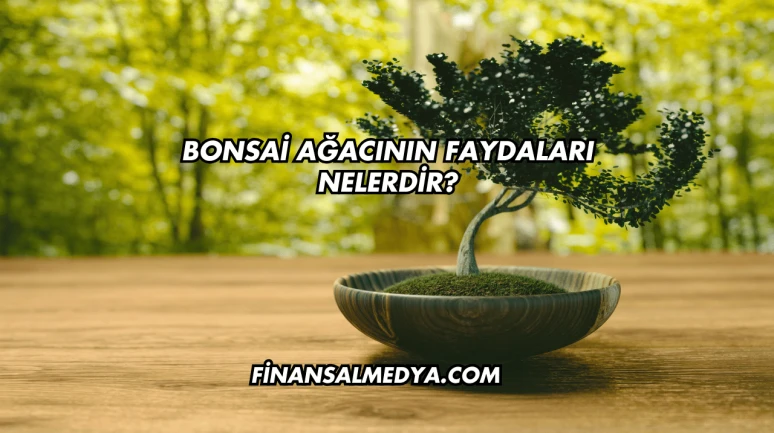 Bonsai Ağacının Faydaları Nelerdir?
