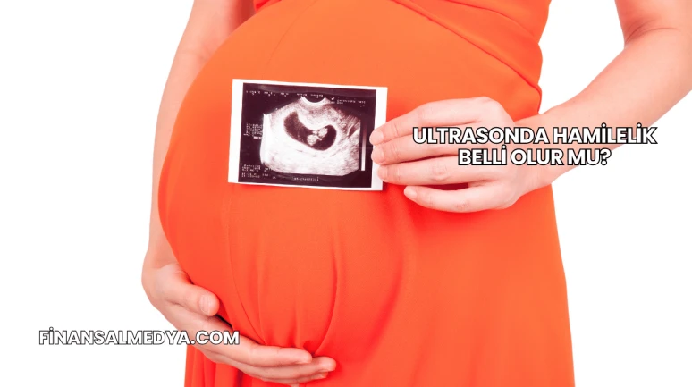 Ultrasonda Hamilelik Belli Olur mu?