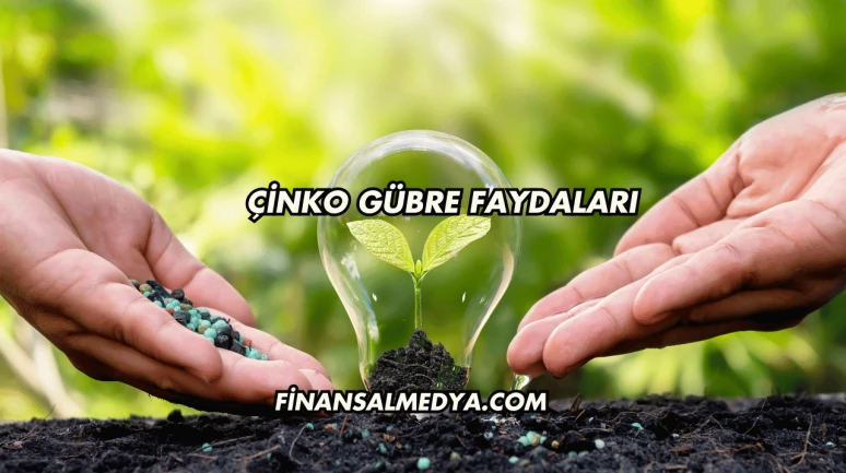 Çinko Gübre Faydaları