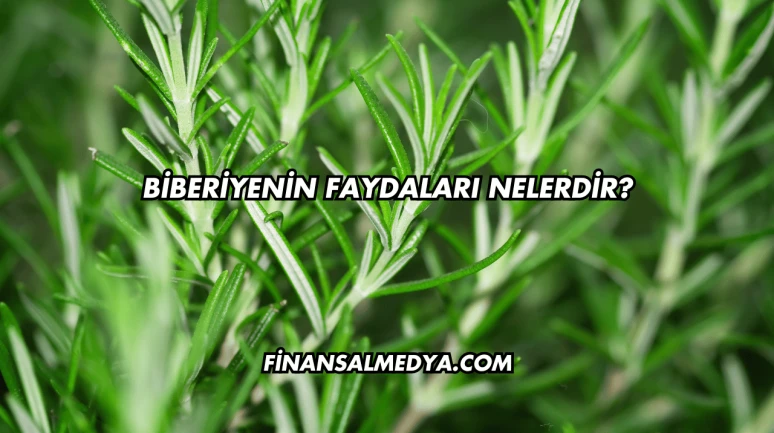 Biberiyenin Faydaları Nelerdir?