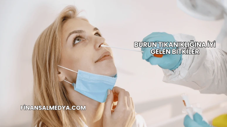 Burun Tıkanıklığına İyi Gelen Bitkiler