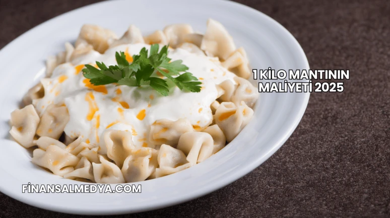 1 Kilo Mantının Maliyeti 2025