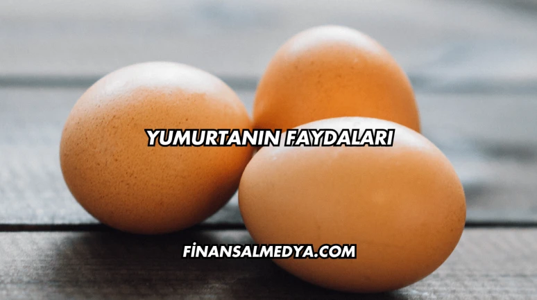 Yumurtanın Faydaları