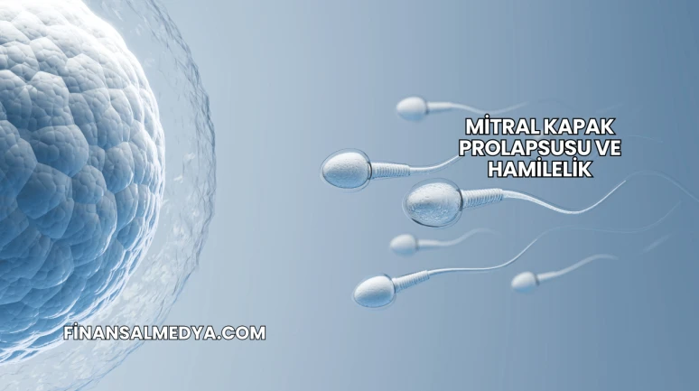 Mitral Kapak Prolapsusu ve Hamilelik