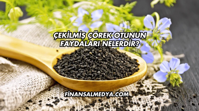 Çekilmiş Çörek Otunun Faydaları Nelerdir?