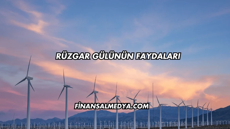 Rüzgar Gülünün Faydaları