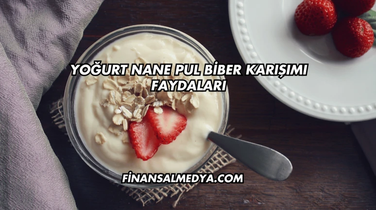 Yoğurt Nane Pul Biber Karışımı Faydaları