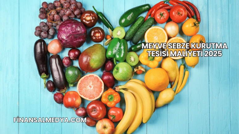 Meyve Sebze Kurutma Tesisi Maliyeti 2025