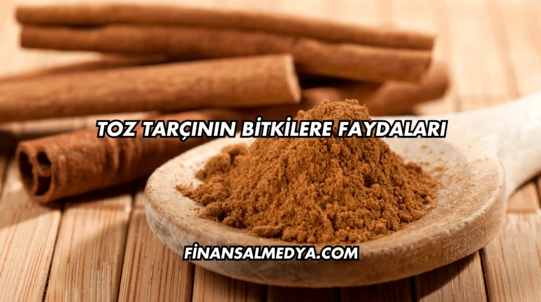 Toz Tarçının Bitkilere Faydaları