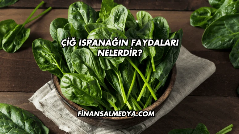Çiğ Ispanağın Faydaları Nelerdir?