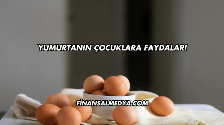 Yumurta Kabuğu Suyu Faydaları