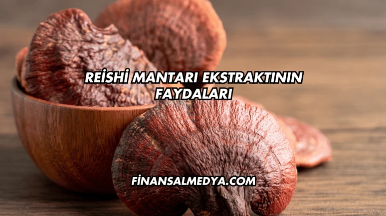 Reishi Mantarı Ekstraktının Faydaları