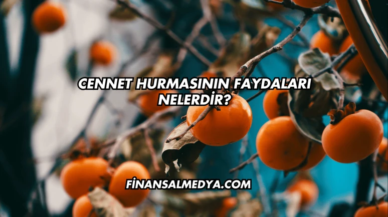 Cennet Hurmasının Faydaları Nelerdir?