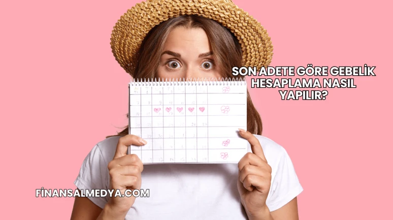 Son Adete Göre Gebelik Hesaplama Nasıl Yapılır?