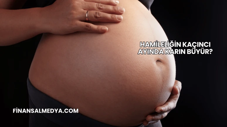 Hamileliğin Kaçıncı Ayında Karın Büyür?