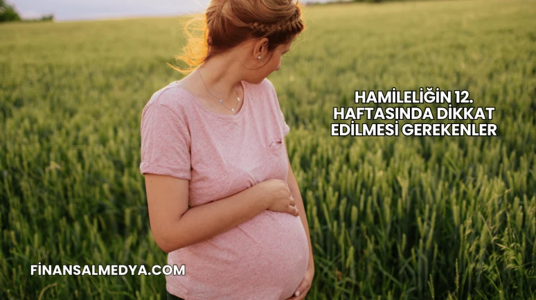 Hamileliğin 12. Haftasında Dikkat Edilmesi Gerekenler
