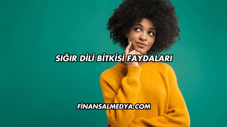 Sığır Dili Bitkisi Faydaları