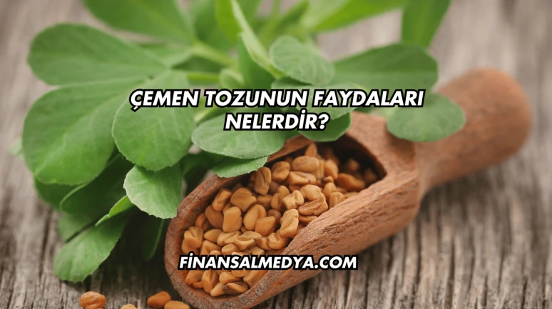 Çemen Tozunun Faydaları Nelerdir?