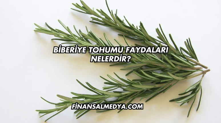 Biberiye Tohumu Faydaları Nelerdir?