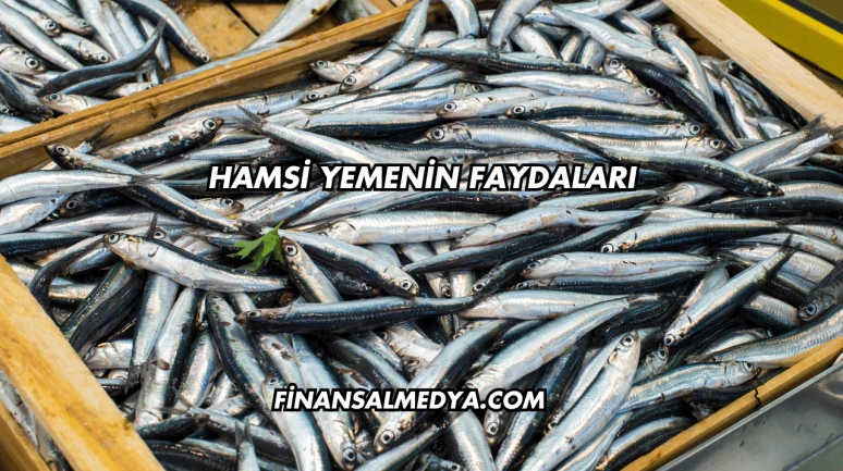 Hamsi Yemenin Faydaları