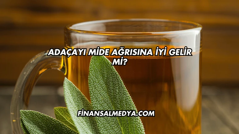 Adaçayı Mide Ağrısına İyi Gelir mi?