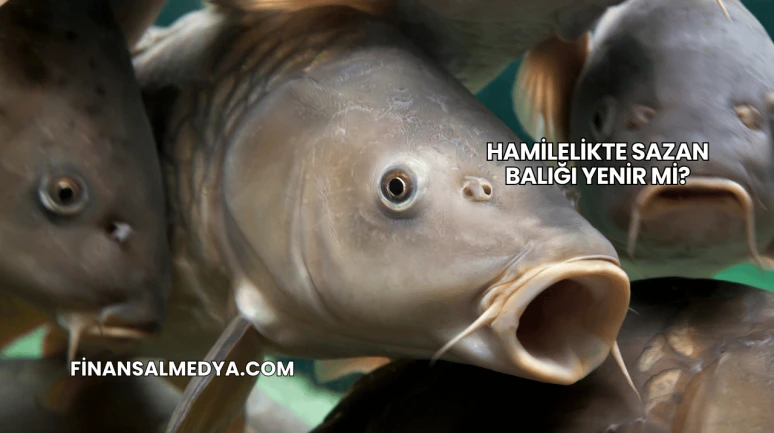 Hamilelikte Sazan Balığı Yenir mi?
