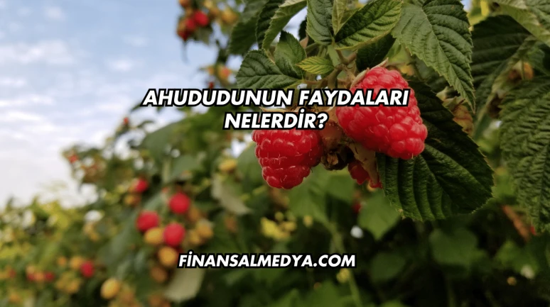 Ahududunun Faydaları Nelerdir?