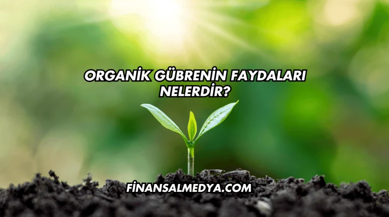 Organik Gübrenin Faydaları Nelerdir?