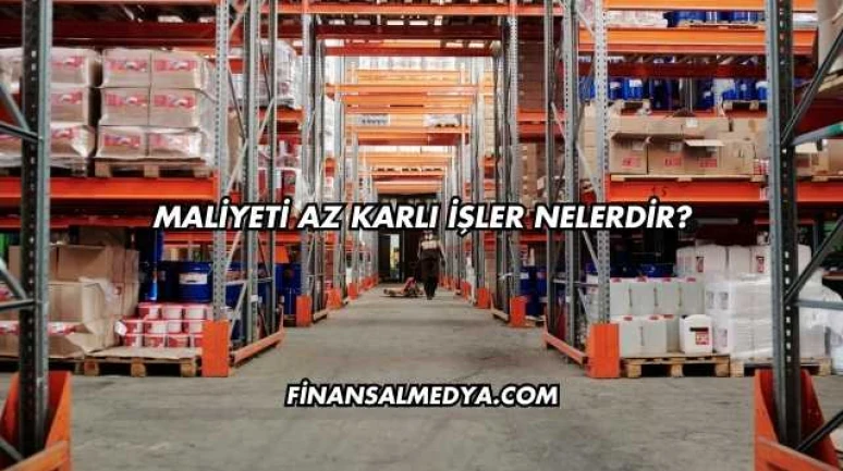 Maliyeti Az Karlı İşler Nelerdir?