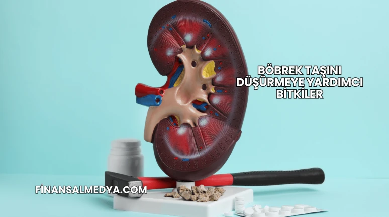 Böbrek Taşını Düşürmeye Yardımcı Bitkiler