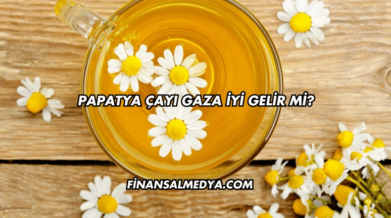 Papatya Çayı Gaza İyi Gelir mi?
