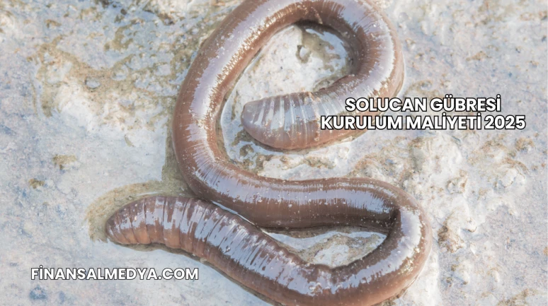 Solucan Gübresi Kurulum Maliyeti 2025