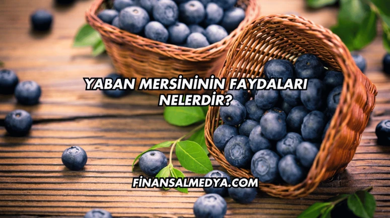 Yaban Mersininin Faydaları Nelerdir?