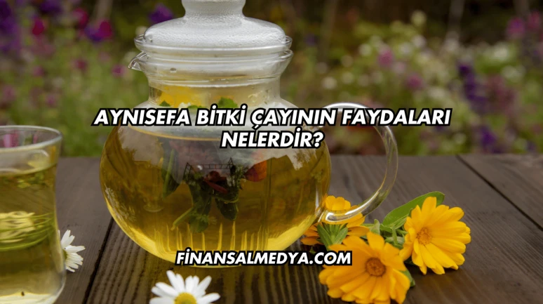 Aynısefa Bitki Çayının Faydaları Nelerdir?