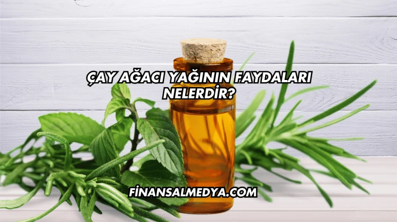 Çay Ağacı Yağının Faydaları Nelerdir?