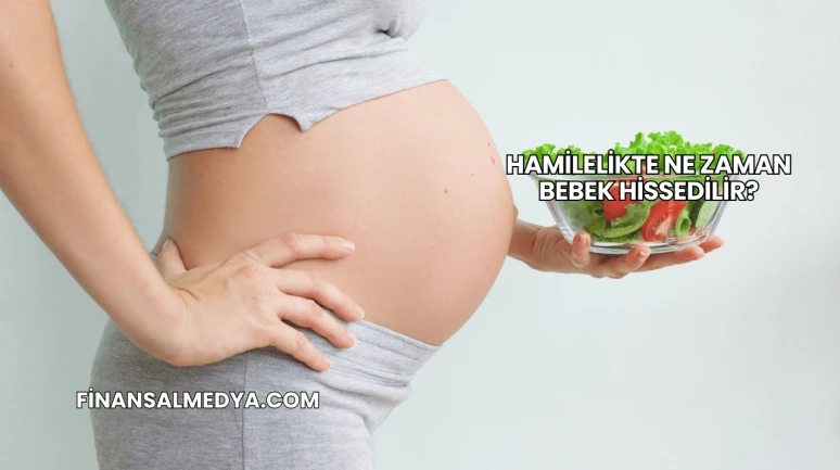 Hamilelikte Ne Zaman Bebek Hissedilir?