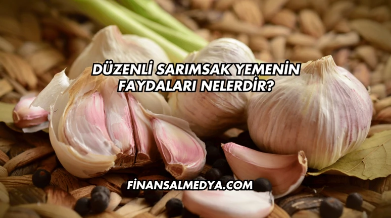 Düzenli Sarımsak Yemenin Faydaları Nelerdir?