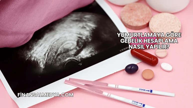Yumurtlamaya Göre Gebelik Hesaplama Nasıl Yapılır?
