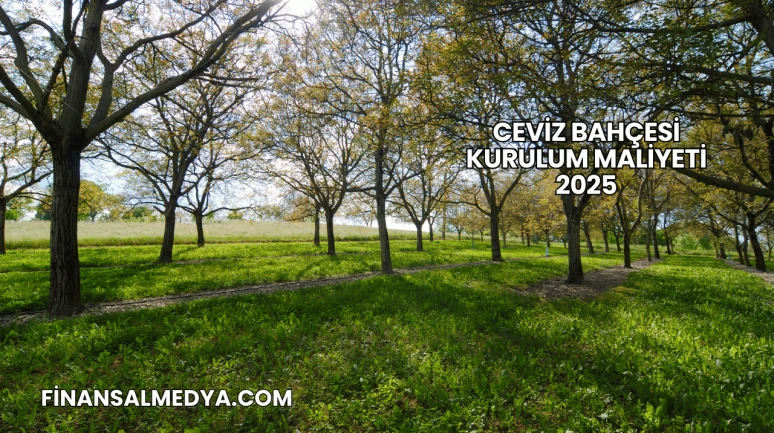Ceviz Bahçesi Kurulum Maliyeti 2025