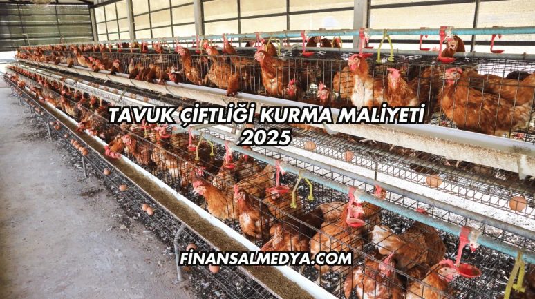 Tavuk Çiftliği Kurma Maliyeti 2025