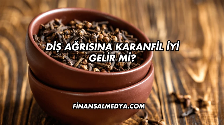 Diş Ağrısına Karanfil İyi Gelir mi?