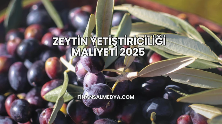 Zeytin Yetiştiriciliği Maliyeti 2025