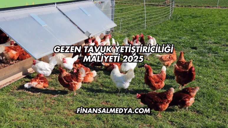 Gezen Tavuk Yetiştiriciliği Maliyeti 2025