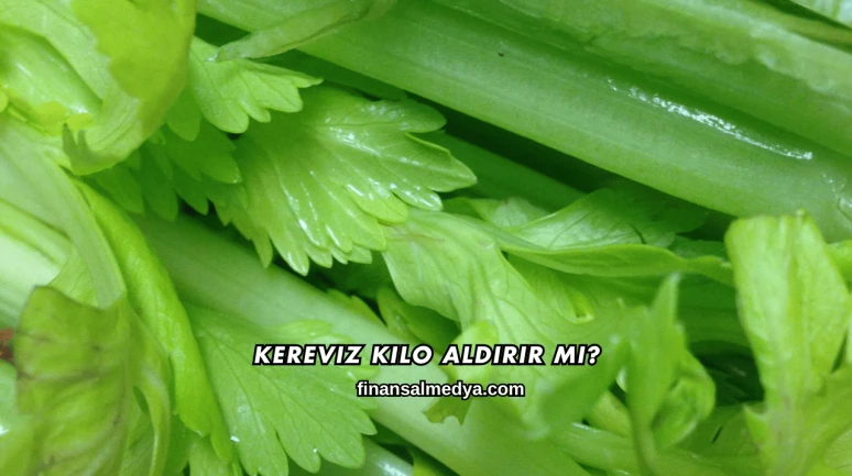 Kereviz Kilo Aldırır mı?