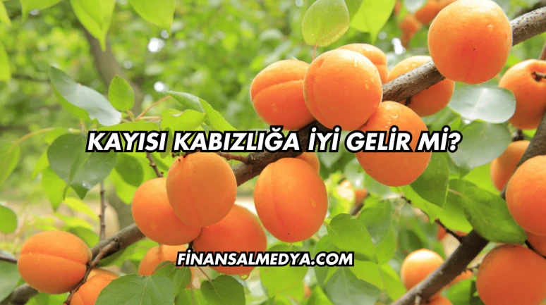 Kayısı Kabızlığa İyi Gelir mi?