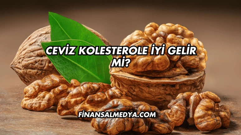 Ceviz Kolesterole İyi Gelir mi?