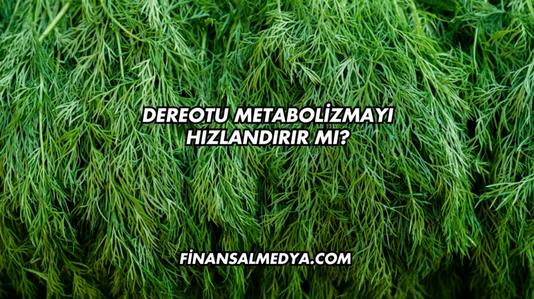 Dereotu Metabolizmayı Hızlandırır mı?
