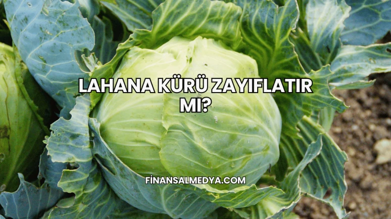 Lahana Kürü Zayıflatır mı?
