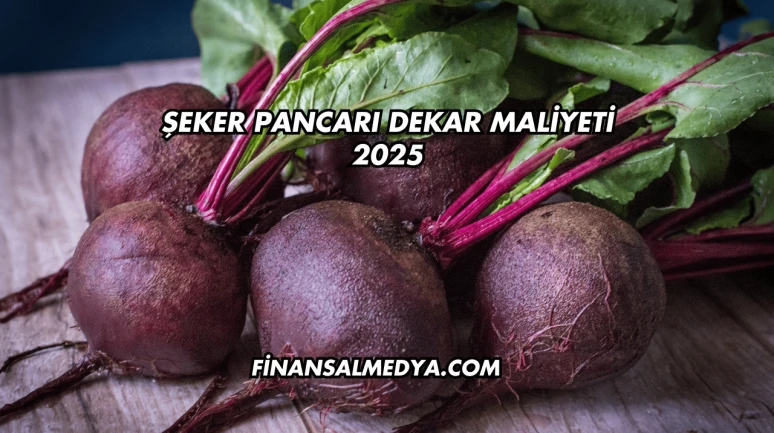 Şeker Pancarı Dekar Maliyeti 2025